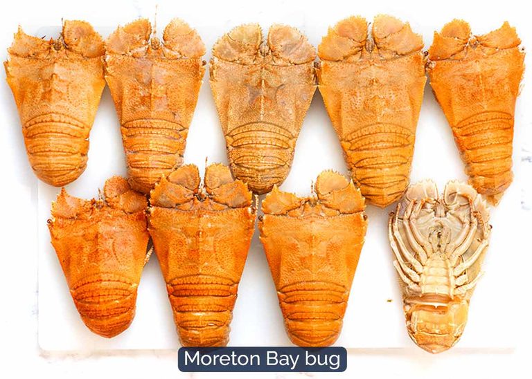 Baybug What we put on our seafood platter - RecipeTin Eats