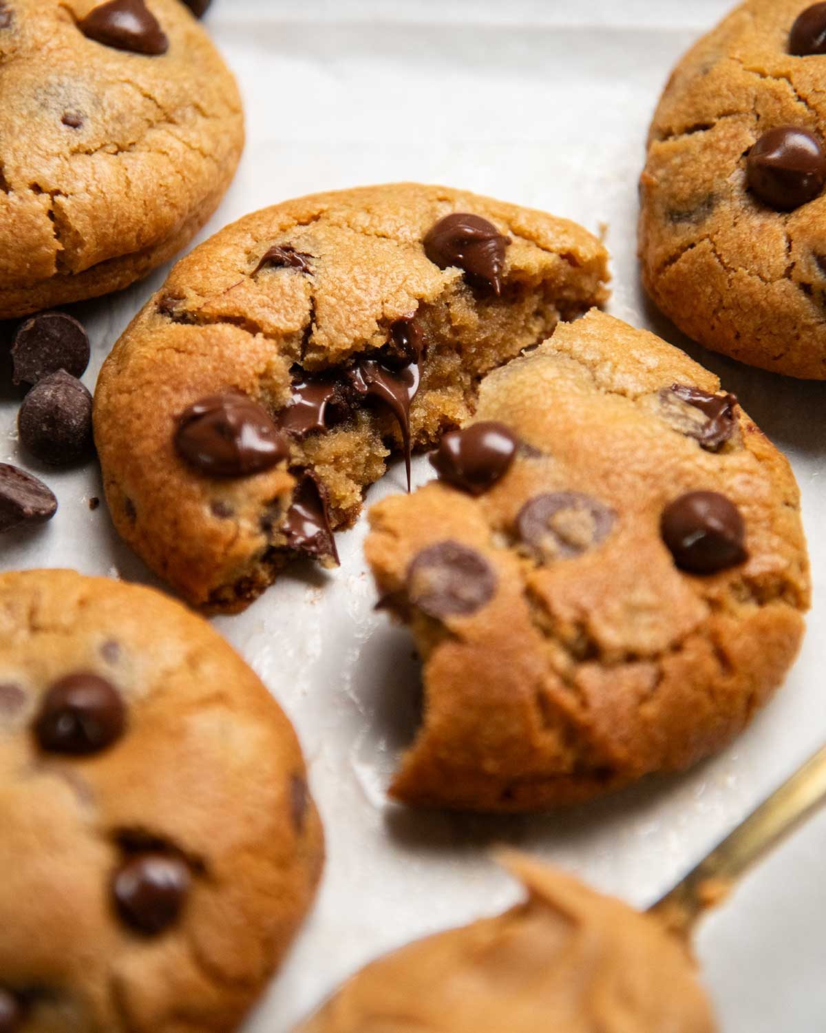 Choc Chip Peanut Butter Cookies