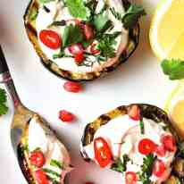 Grilled Eggplant discs topped with yoghurt sauce, pomegranate and coriander