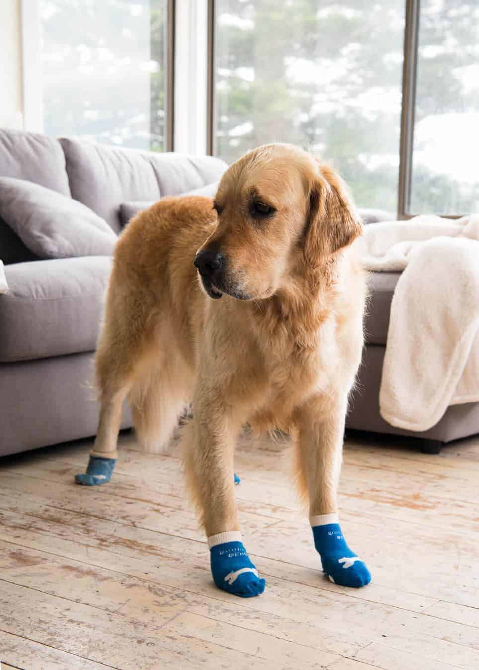 dozer-socks