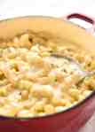 This Stovetop Macaroni and Cheese is all made in one pot! The sauce is incredibly silky, cheesy and the pasta is cooked to perfection. On the table in 20 minutes! recipetineats.com