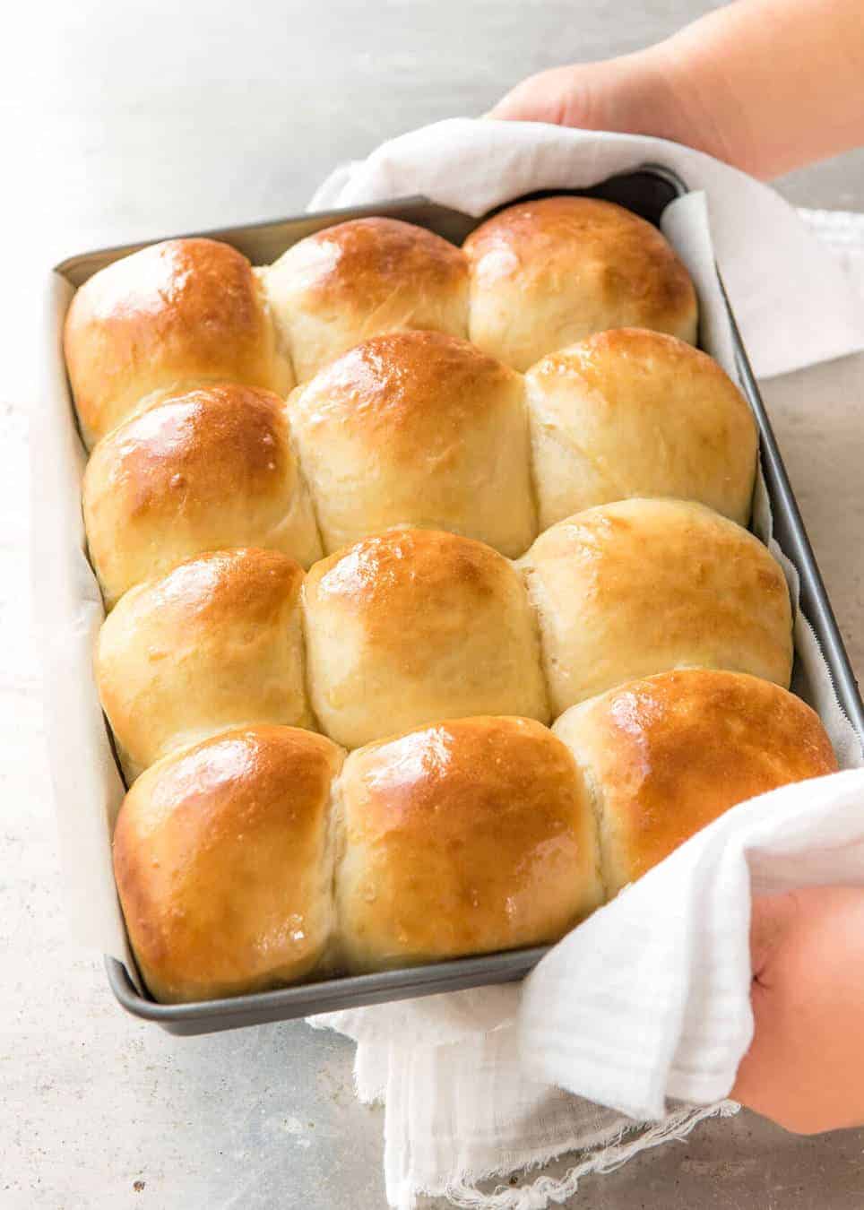 Soft no knead dinner rolls in a baking pan, fresh out of the oven.