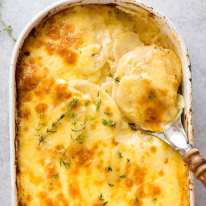 Potatoes au Gratin in a white casserole dish, fresh out of the oven