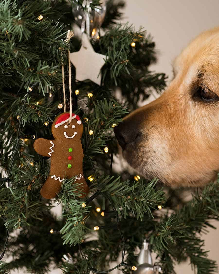 Dozer gingerbread man Christmas tree ornament