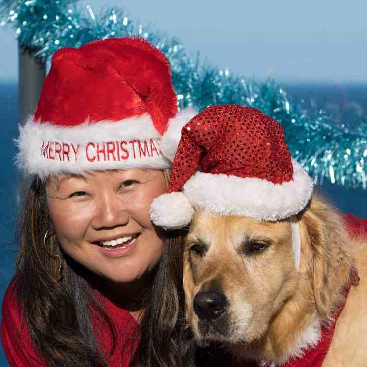 Nagi and Dozer the golden retriever dog_Christmas 2018