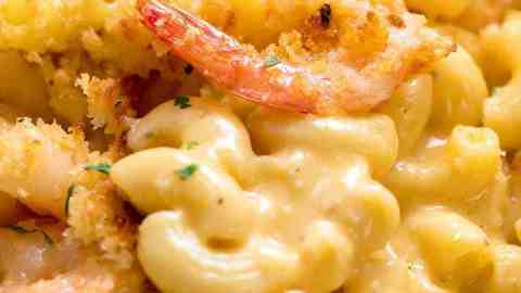 Close up of Garlic Shrimp Mac and Cheese