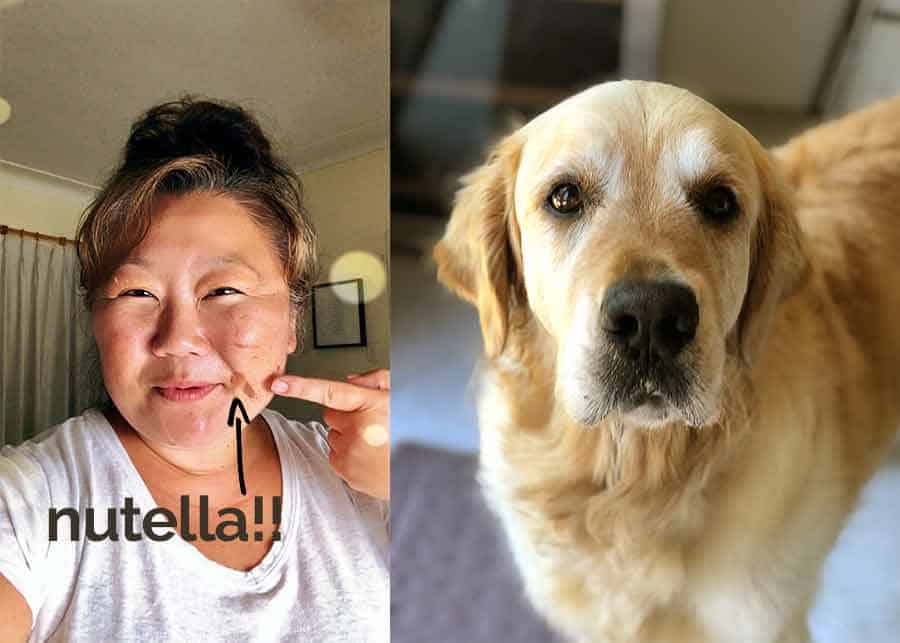 Dozer the golden retriever dog Nagi Nutella smear on face