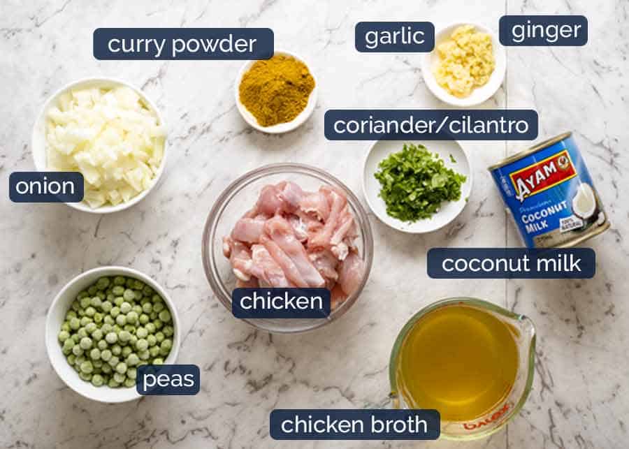 Ingredients in easy Chicken Curry