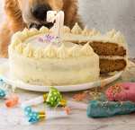 dog birthday cake for Dozer
