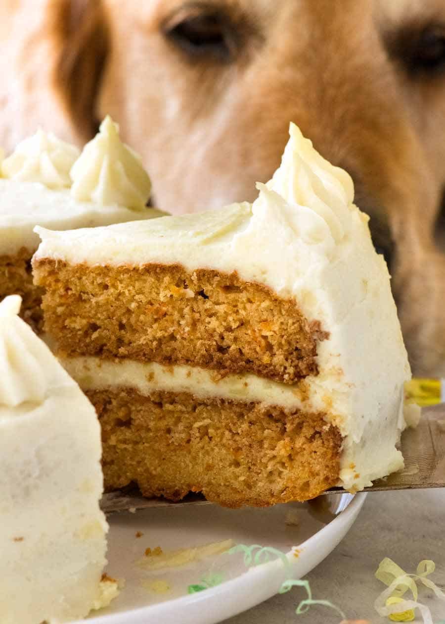 Birthday cake | Dog birthday cake, Dog cakes, Dog cake recipes