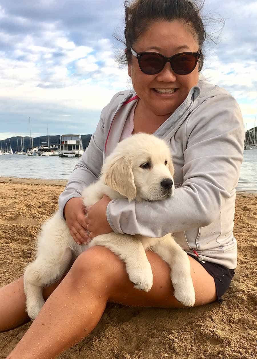 Nagi Golden Retriever puppy Bayview May 2019