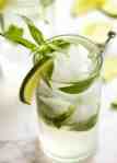 Close up photo of freshly made Mojito in a glass garnished with lime slice and fresh mint