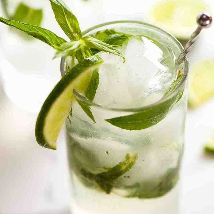 Close up photo of freshly made Mojito in a glass garnished with lime slice and fresh mint