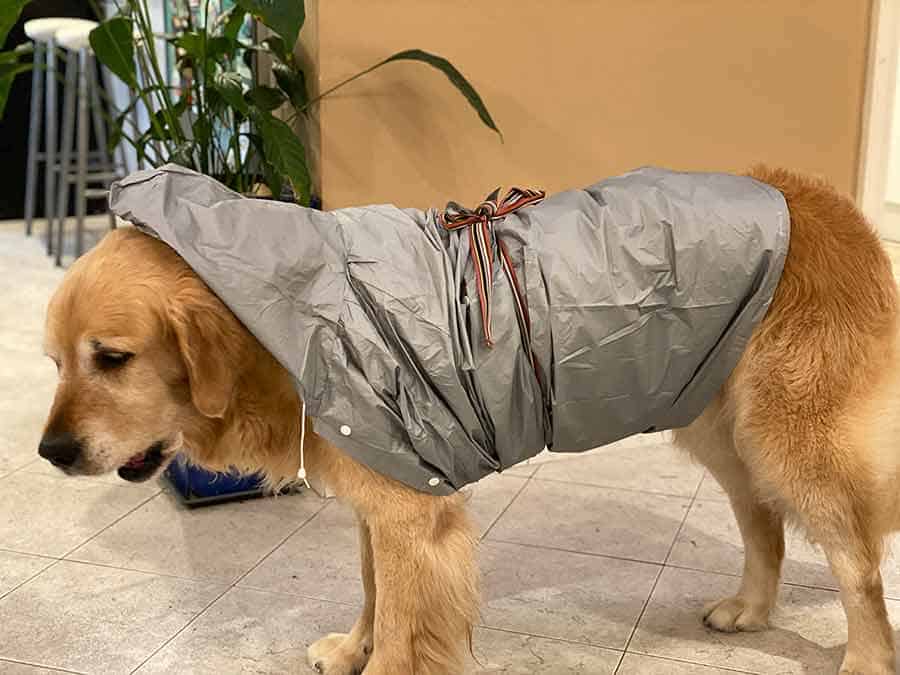 Dozer makeshift raincoat