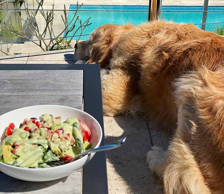 Chargrill Charlie's Green Bean Avocado Salad (copycat!) RecipeTin Eats