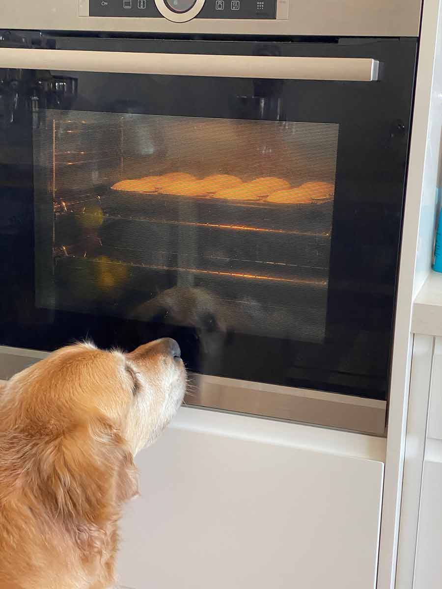 Dozer watching cupcakes in oven