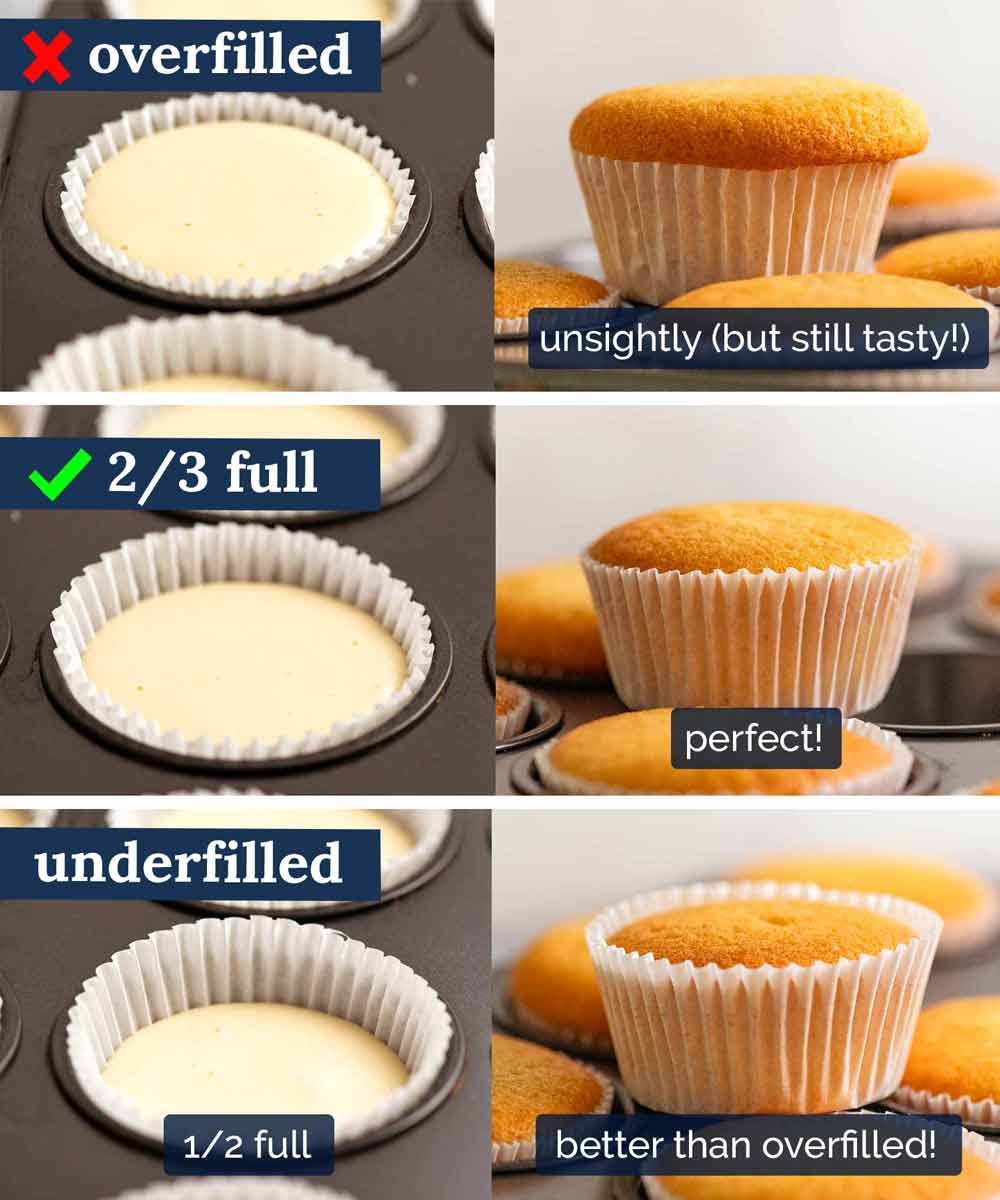 How much batter to put in cupcakes