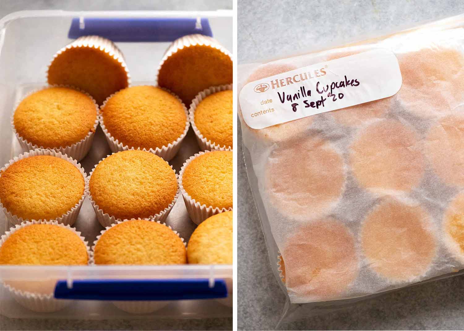 Photo showing how to store Vanilla Cupcakes