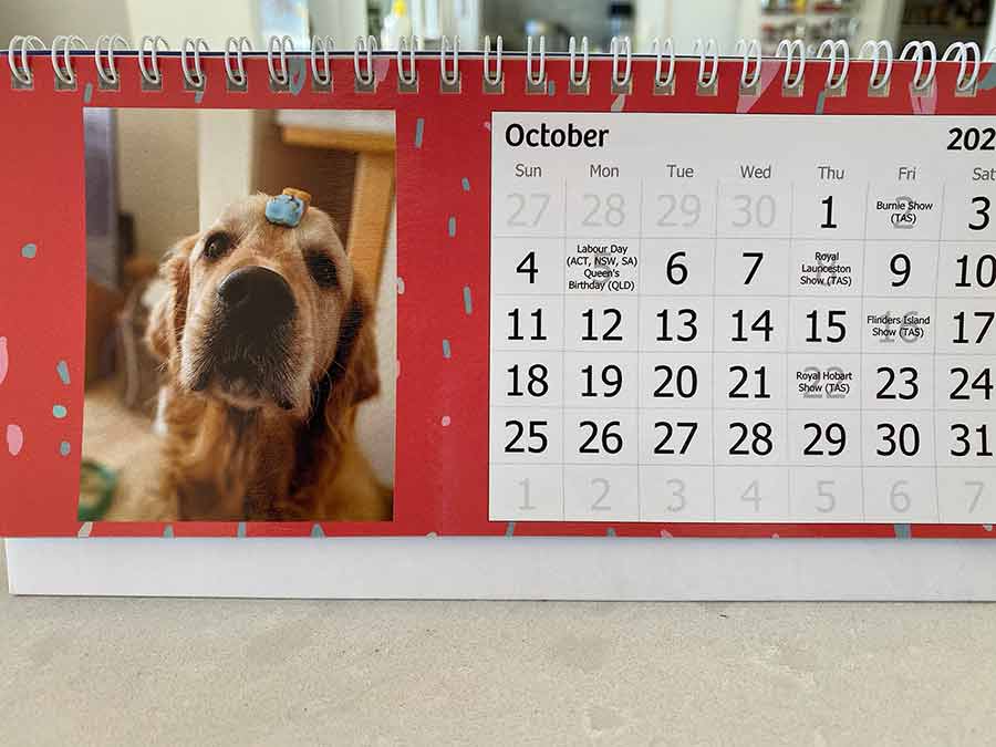 Dozer October calendar