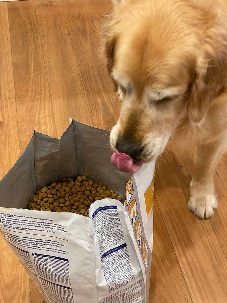 Dozer bag of dog food