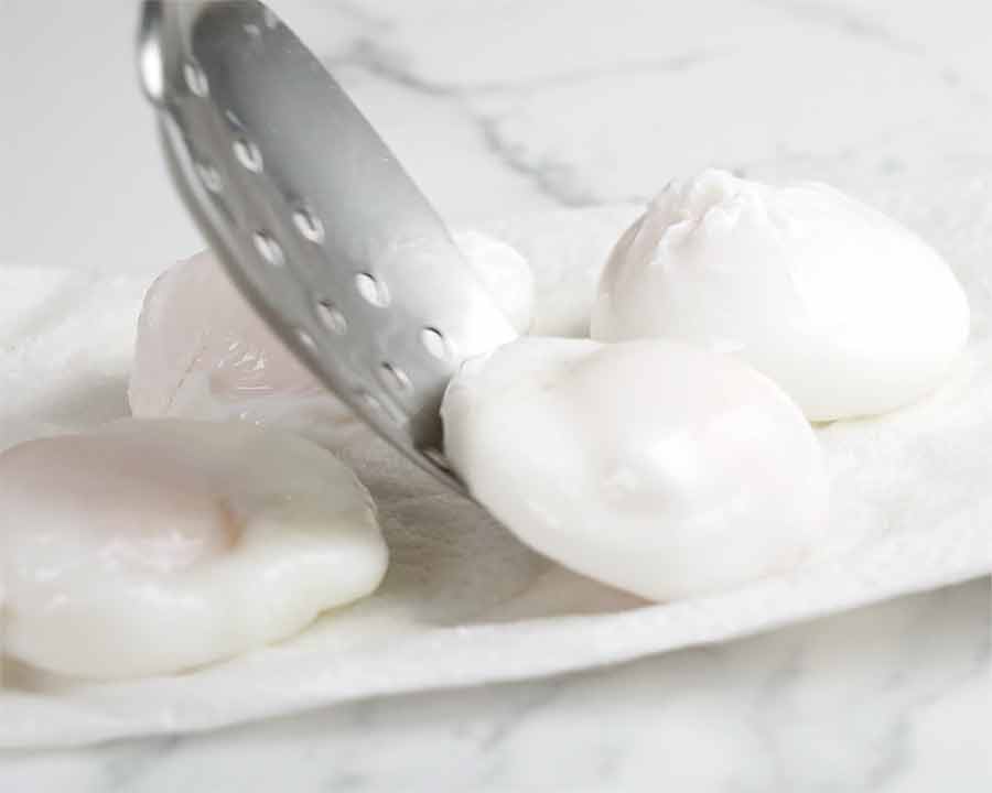 Draining poached eggs on paper towels