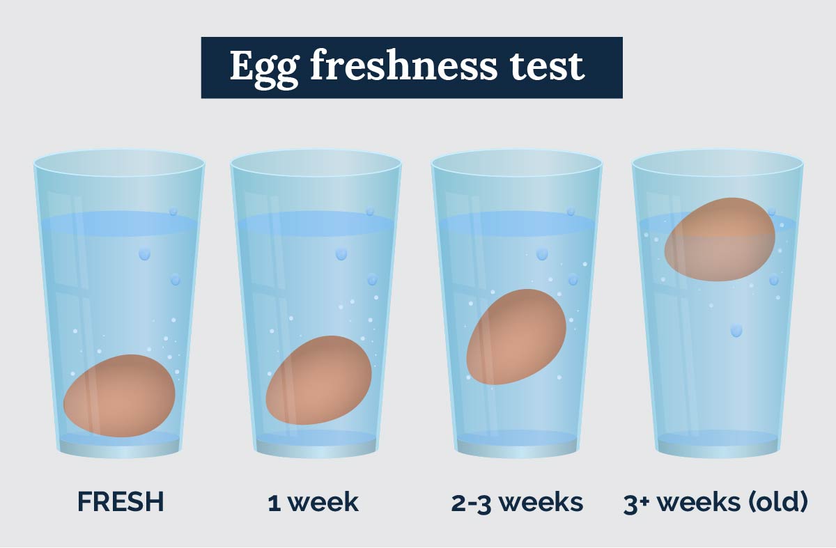 Floating test freshness by eggs for How to