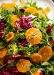 Overhead close up photo of Bitter Leaf and Orange Salad with Orange Poppyseed Dressing