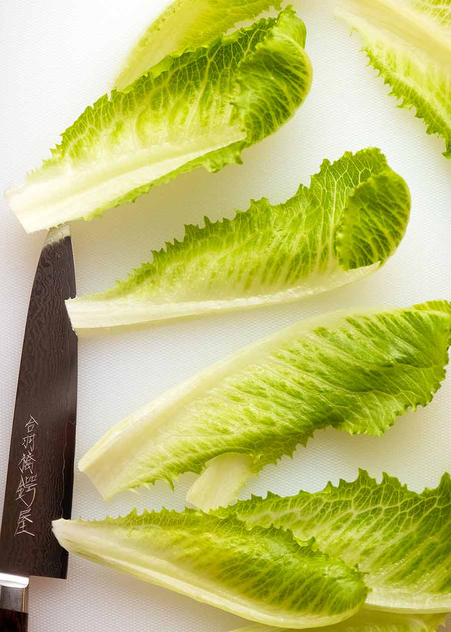 Baby Cos Lettuce / romaine for Spring Salad
