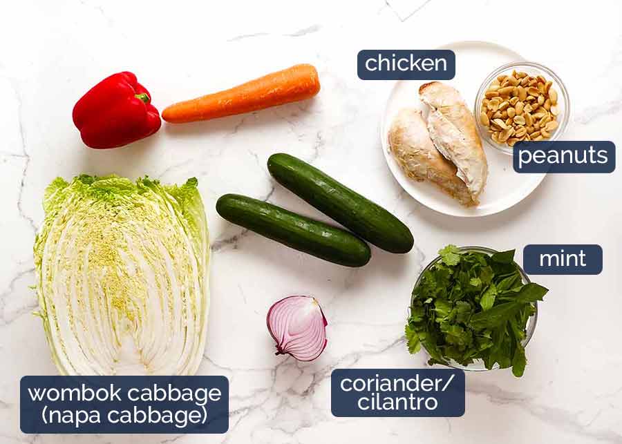 Ingredients in Vietnamese Chicken Salad