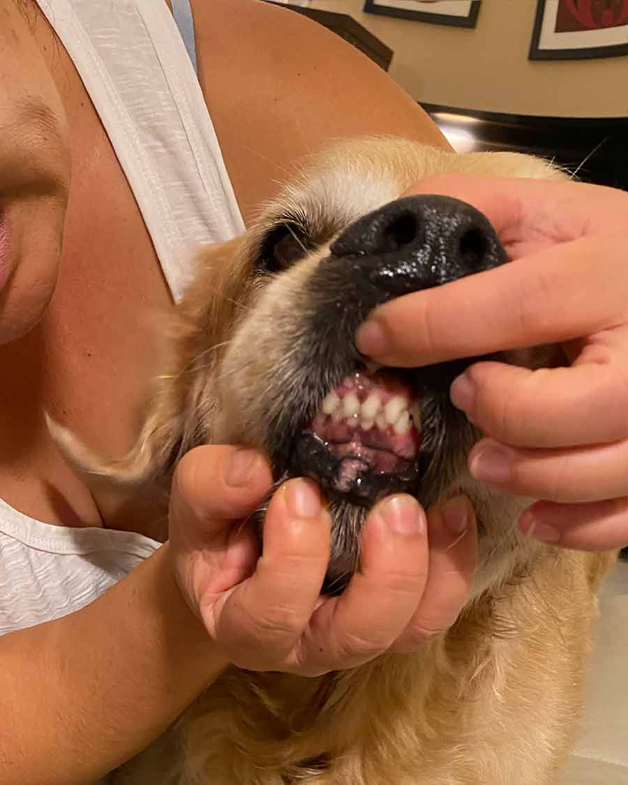Dozer teeth inspection