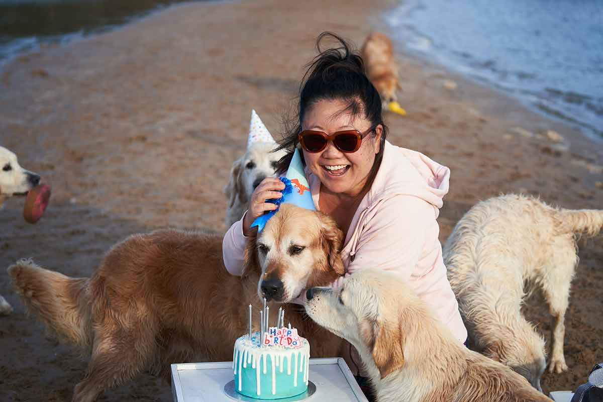 Dozer golden retriever dog birthday party - Drip Dog Birthday Cake