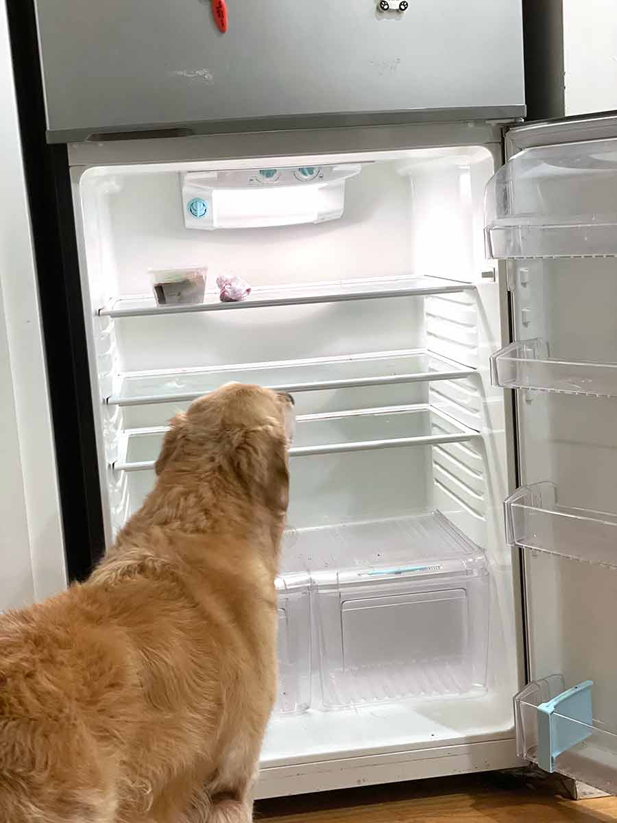 Dozer empty fridge