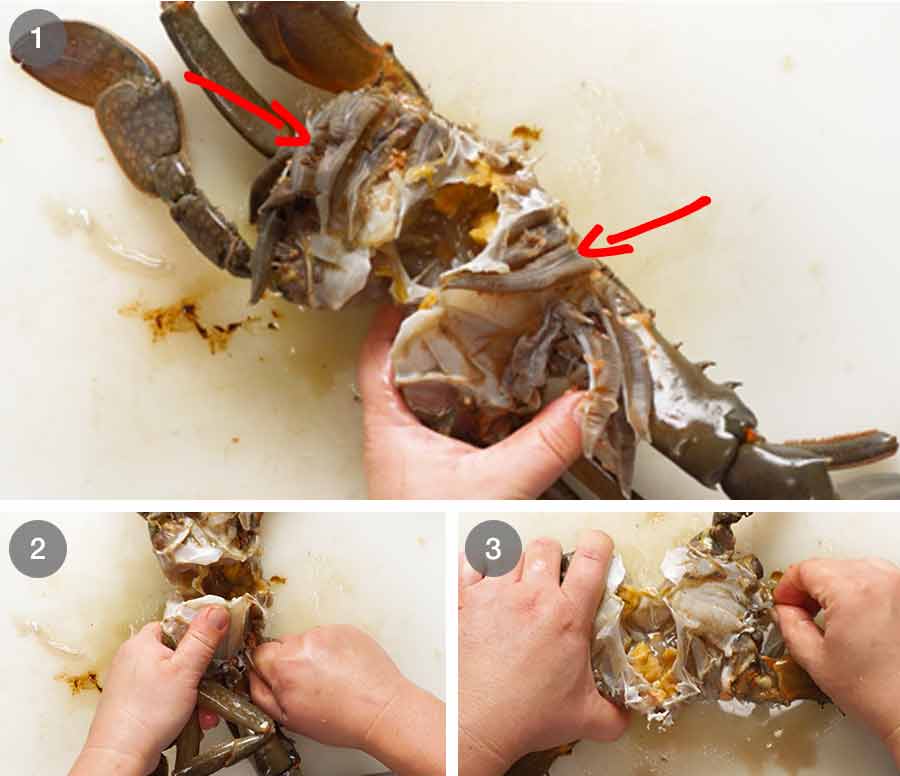 Cleaning and preparing crab 8 How to clean and cut a whole crab
