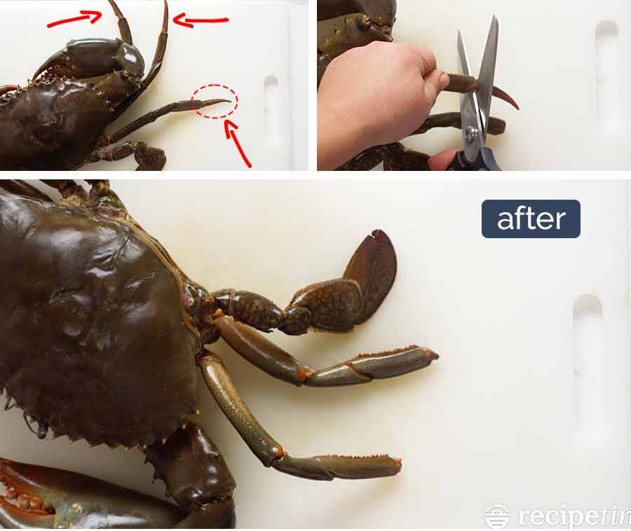 Cleaning and preparing crab template 1 How to clean and cut a whole crab