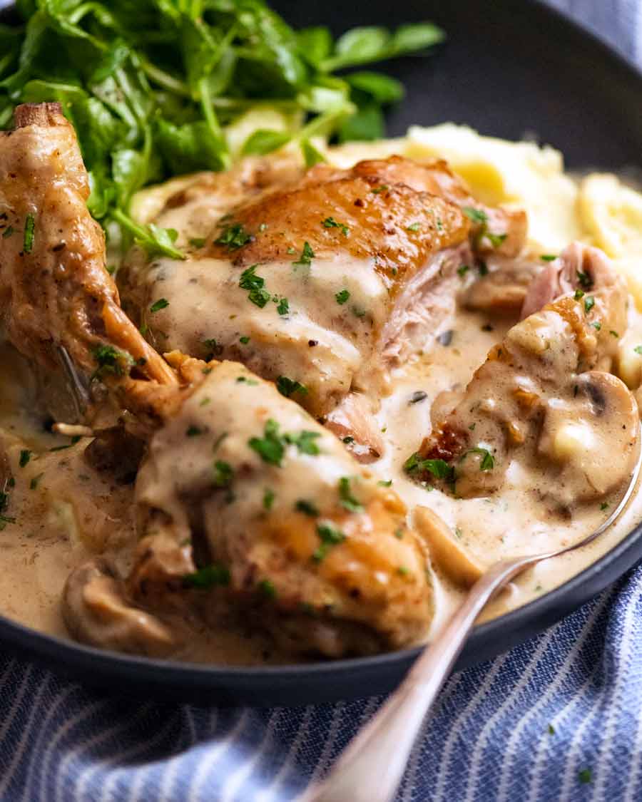 Plate of Chicken Fricassée served over mashed potato