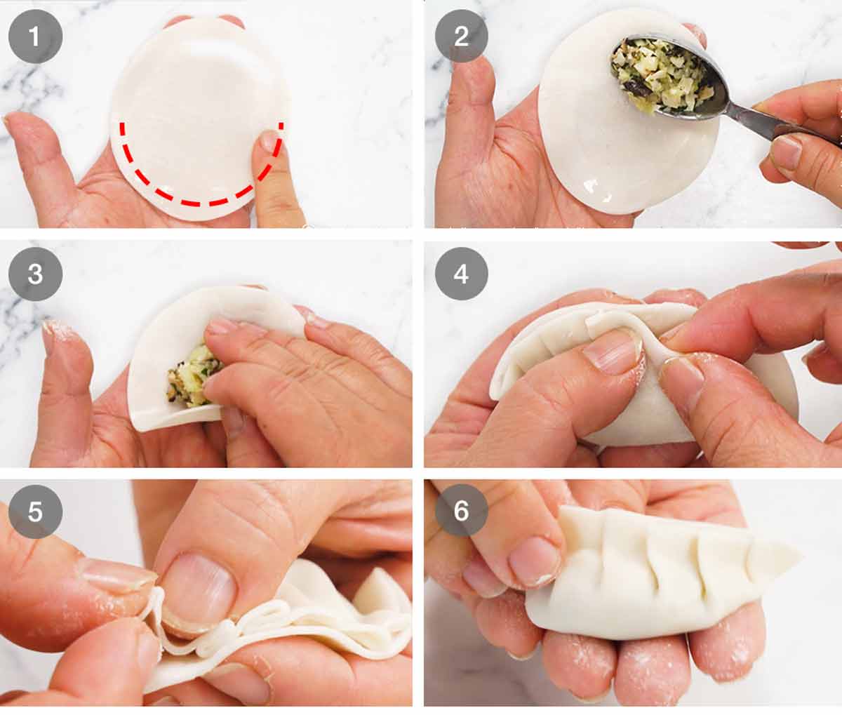 How to wrap Vegetable Dumplings (Potstickers)