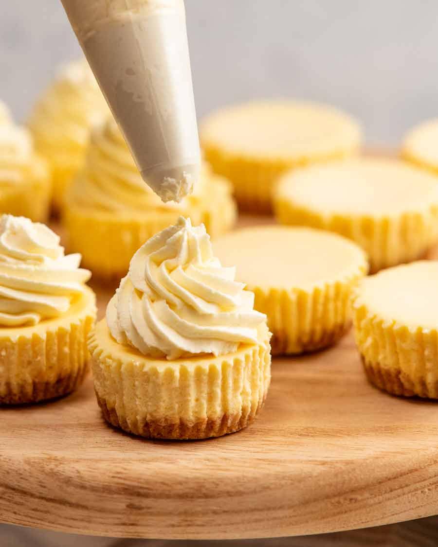 Piping cream on Mini cheesecakes