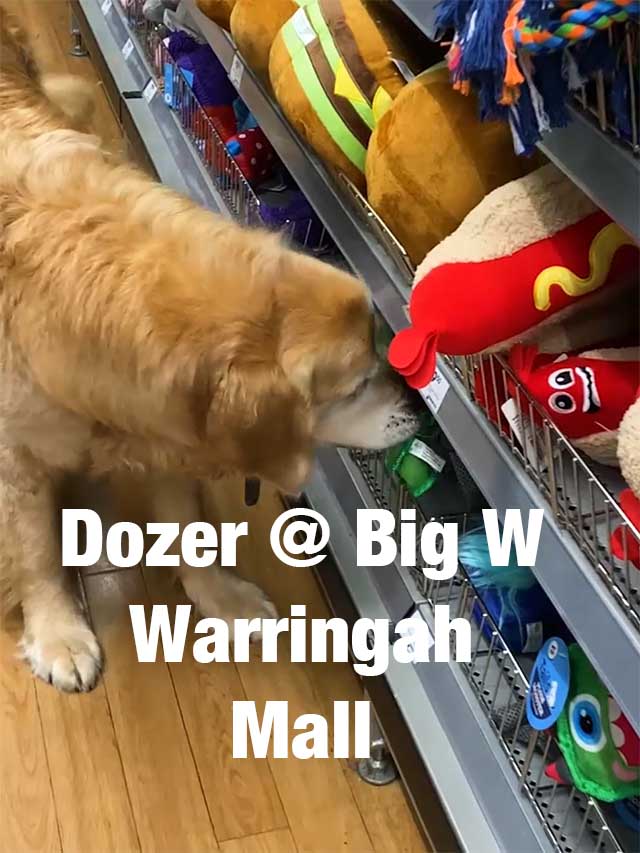 Dozer @ Big W Warringah – Behind the scenes