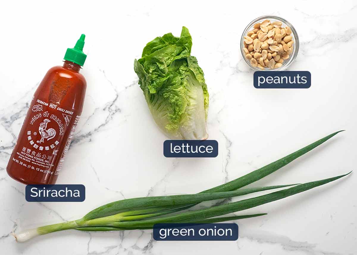 Ingredients in Vegetarian lettuce wraps - san choy bow
